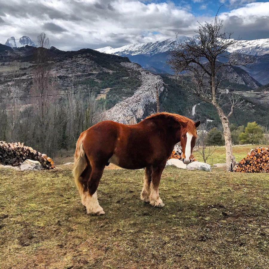 Masia Cap Del Roc Vallcebre Eksteriør bilde